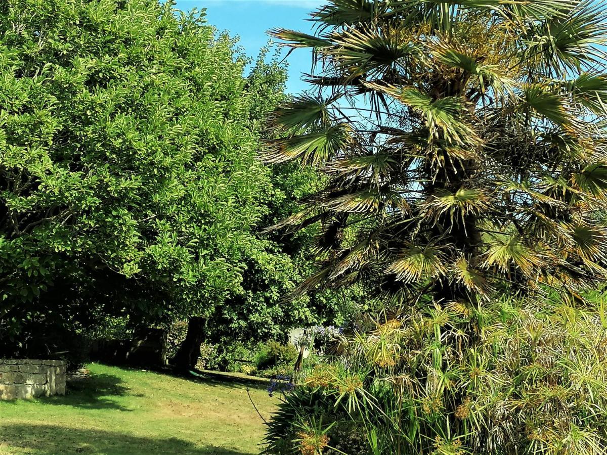 Bed and Breakfast Les Terrasses Du Ris Douarnenez Zewnętrze zdjęcie